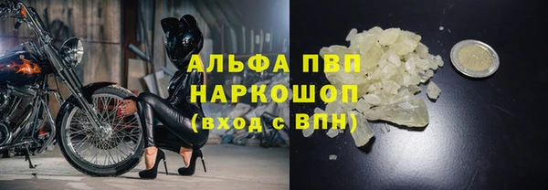 шишки Белокуриха