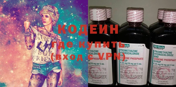 шишки Белокуриха