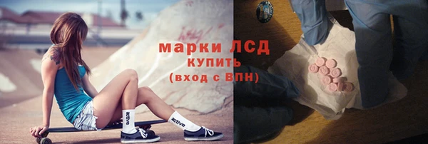 шишки Белокуриха
