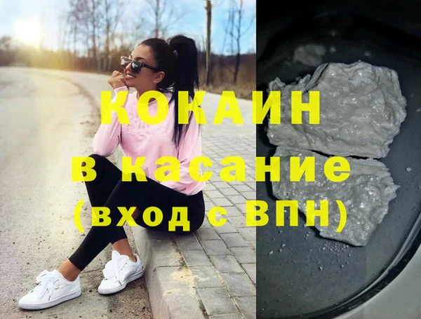 шишки Белокуриха
