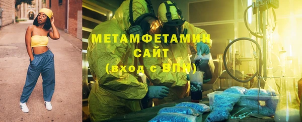 шишки Белокуриха