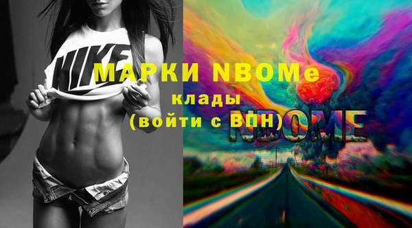 шишки Белокуриха