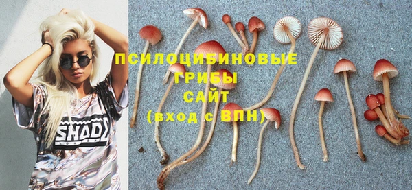 дмт Белоозёрский