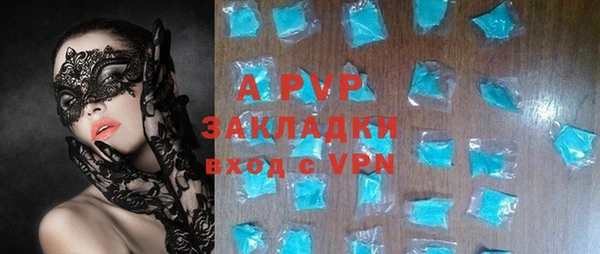 шишки Белокуриха