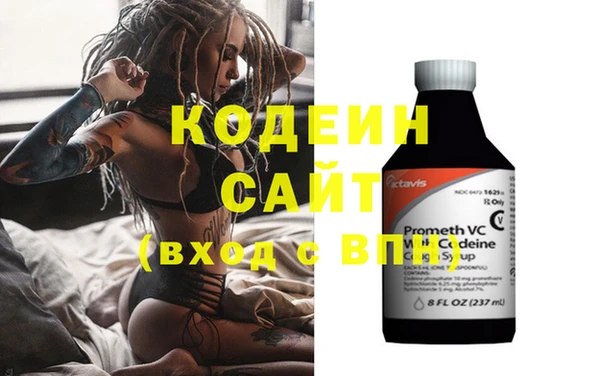 шишки Белокуриха