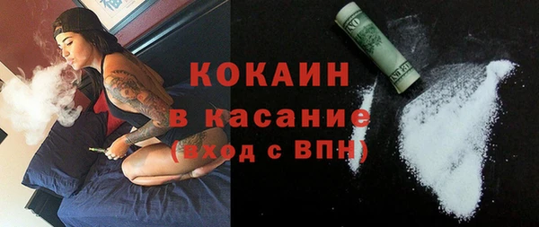 шишки Белокуриха