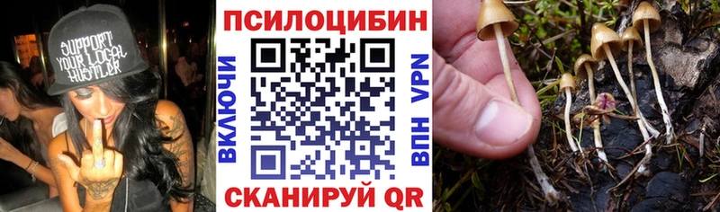 купить   Уфа  Псилоцибиновые грибы GOLDEN TEACHER 